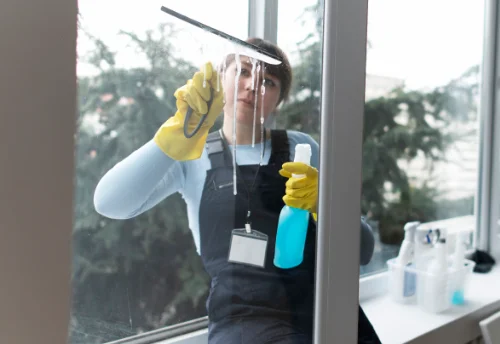 Nettoyage de vitres intérieures et extérieures à Saint-Lager